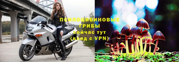 каннабис Алзамай