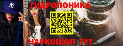 spice Бийск