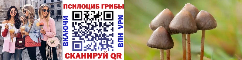 Псилоцибиновые грибы GOLDEN TEACHER  Дедовск 