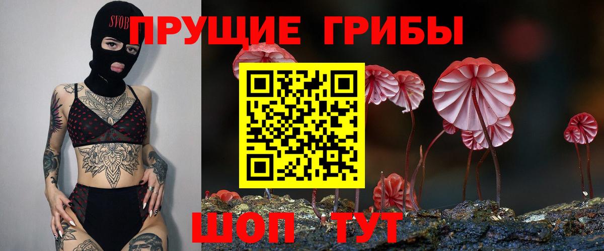 Дедовск  Галлюциногенные грибы прущие грибы  Вход с VPN 