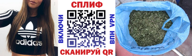Конопля MAZAR Дедовск